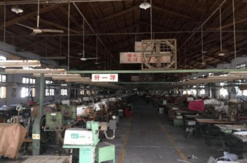 莆田老牌鞋廠3300萬被拍賣，三條成型線背后折射產業轉型之痛