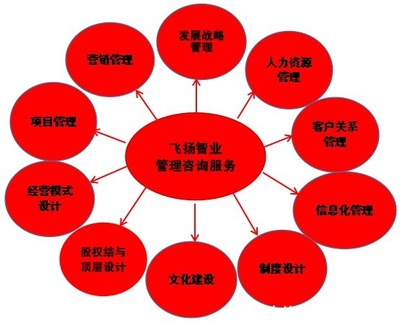 管理咨詢服務(wù)哪家強(qiáng)？專業(yè)信息咨詢機(jī)構(gòu)的選擇與考量